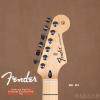 Fender 014-4702-532 STANDARD STRATOCASTER HSS