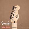 Fender 014-4602-506 STANDARD STRATOCASTER