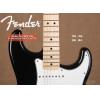 Fender 014-4602-506 STANDARD STRATOCASTER