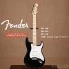 Fender 014-4602-506 STANDARD STRATOCASTER