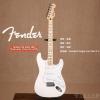 Fender 014-4602-580 STANDARD STRATOCASTER