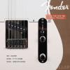 Fender 014-5102-580 Standard Telecaster