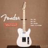 Fender 014-5102-580 Standard Telecaster