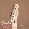 Fender 014-5102-580 Standard Telecaster