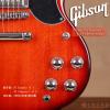 Gibson SG Standard HP 2017 Cherry Burst
