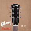 Gibson USA M2 Citron Green