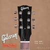 Gibson USA M2 Teal