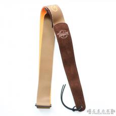 Taylor GS Mini 