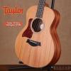 Taylor GS Mini Mahogany 