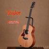 Taylor GS Mini Mahogany 