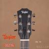 Taylor GS Mini Mahogany 