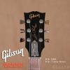 Gibson Les Paul Tribute HP 2017 Faded Honey Burst