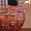 Gibson Les Paul Faded HP 2017 Worn Brown