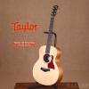 Taylor GS Mini Koa FLTD 2015