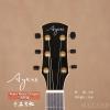 Ayers Music Dragon 