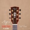 Ayers Passion Deluxe SJCX 
