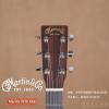 Martin DCX1RAE