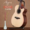 Ayers Passion Deluxe ACX
