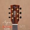 Ayers Passion Deluxe ACX
