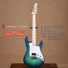 ۳ James Tyler Studio Elite HD Caralibbean