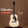 Silvertone 710/N