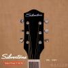 Silvertone 710/N