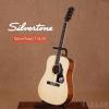 Silvertone 710/N
