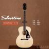 Silvertone 716/N