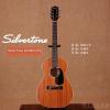 SilverTone 604MH/NS