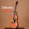 SilverTone 604MH/NS