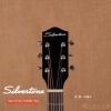 SilverTone 604MH/NS