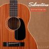 SilverTone 604MH/NS