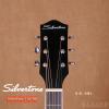 SilverTone 716/NS