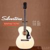 SilverTone 716/NS