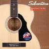 SilverTone 716/NS