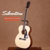 SilverTone 716/NS