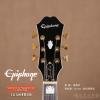 Epiphone Ltd. Ed. 