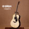 Yamaha LL6