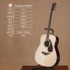 Yamaha FG830