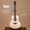 Taylor GS Mini Koa-e LTD Monkey 