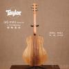 Taylor GS Mini Koa-e LTD Monkey 
