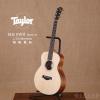 Taylor GS Mini Koa-e LTD Monkey 