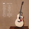 Taylor 414CE