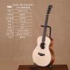 Taylor GS Mini Koa-e LTD Monkey 