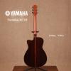Yamaha AC3R VN