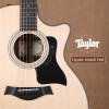 Taylor 314ce RW