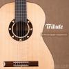 Tribute Basic Rosewood