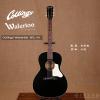 ۳ Collings Waterloo WL-14
