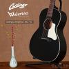 ۳ Collings Waterloo WL-14
