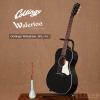 ۳ Collings Waterloo WL-14